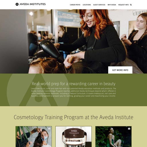 Aveda Institutes